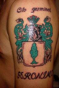 大臂爱尔兰城市徽章纹身图案