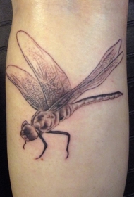 好看的蜻蜓纹身图案