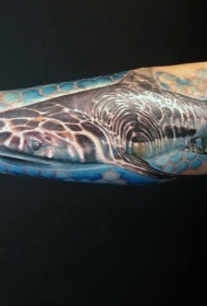 手臂逼真的彩色水下鲨鱼纹身图案