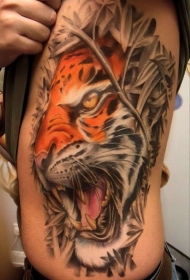 侧肋写实的彩色老虎在灌木丛里纹身图案