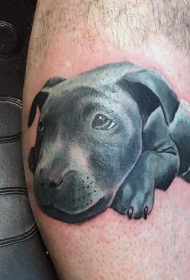 腿部逼真有趣的小狗纹身图案
