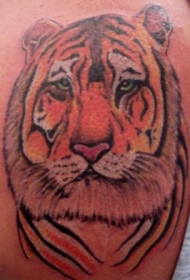 肩部彩色老虎头纹身图案