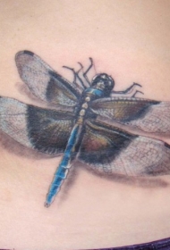 逼真的蜻蜓纹身图案