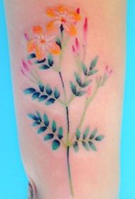 手臂小清新彩虹色花朵纹身图案
