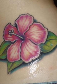腰部彩色逼真的粉色木槿花纹身图案