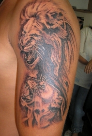 肩部棕色咆哮狮和母狮纹身图案