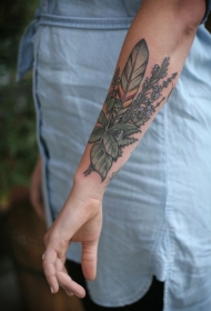 女生手臂植物野花和羽毛纹身图案