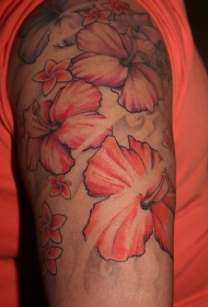 肩部彩色的芙蓉花朵纹身图案