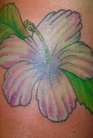 肩部彩色柔和的芙蓉花纹身图案