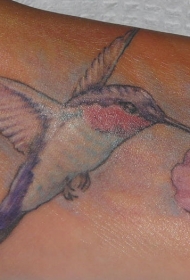 脚背彩色逼真的蜂鸟与花朵纹身图片