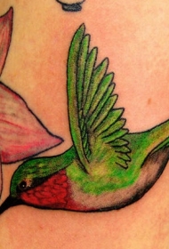 手臂色彩鲜艳的蜂鸟纹身图片