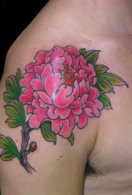 肩部粉红牡丹花纹身图案