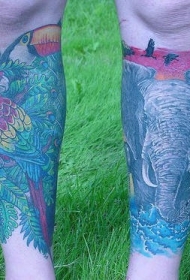 小腿大象和鹦鹉彩绘纹身图案