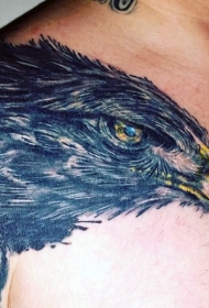 写实非常详细的鹰头部纹身图案