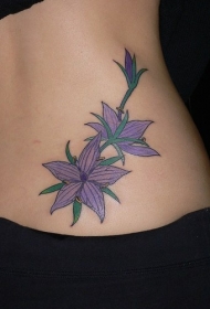 腰部彩色五尖星花朵纹身图案