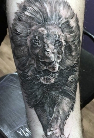 手臂黑灰色大雕像狮子纹身图案