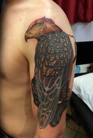 手臂现代风格的鹰纹身图案