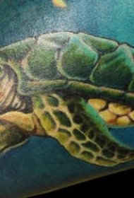腿部彩色逼真的绿龟纹身图案