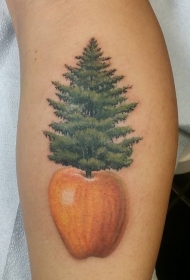 手臂逼真自然得彩色松树苹果纹身图片