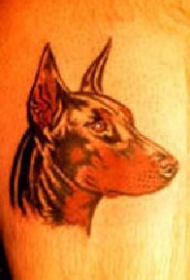 雄伟的杜宾犬纹身图案