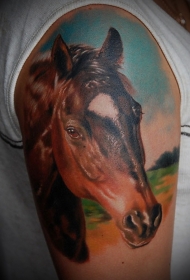 肩部彩色逼真的马头纹身图案