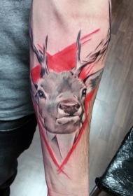 手臂现实主义风格色的鹿头纹身图片