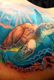 可爱的彩色乌龟和海底纹身图案