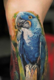 腿部彩色逼真有趣的鹦鹉纹身图案