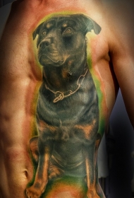 侧肋多彩的罗威纳犬纹身图案