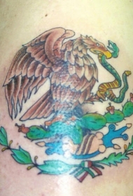 鹰吃蛇和仙人掌的纹身图案