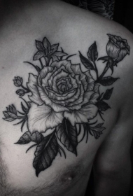 肩部黑灰色逼真的玫瑰花纹身图案