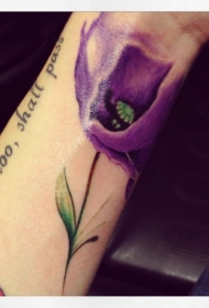 手腕上的紫色罂粟花纹身图案