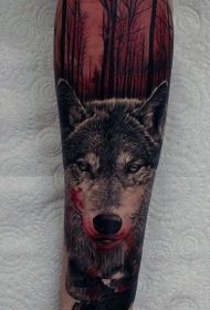 腿部诡异逼真的彩色血腥狼纹身图案