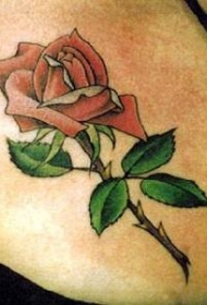 女性肩部彩色红玫瑰纹身图片