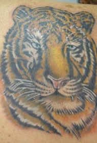 男性肩部彩色老虎头纹身图案