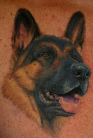 肩部彩色漆墨德国牧羊犬纹身图案