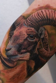 羊头像彩绘纹身图案