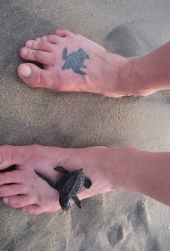 男性脚背逼真的小乌龟纹身图案