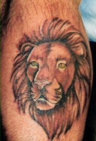 腿部棕色绿眼睛狮子头纹身图片