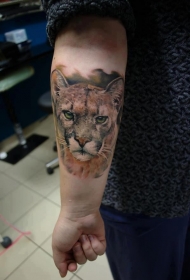 小臂写实彩绘豹子纹身图案