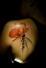 背部水彩优雅的红罂粟纹身图案