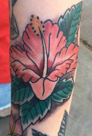 手臂彩色老派风格的木槿花纹身图案
