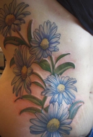 侧肋可爱的彩色雏菊花纹身图案