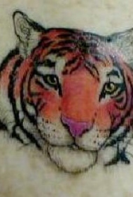 肩部彩色逼真的虎头纹身图案