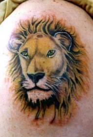 肩部彩色逼真的狮子头纹身图片