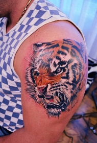 男性肩部彩色逼真的老虎头纹身图片