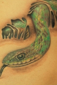 腰部彩色蛇爬出皮肤的纹身图案