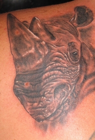 写实的犀牛头像纹身图案