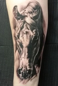 手臂现实主义风格的逼真马纹身图案