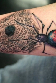 手臂逼真的彩色大蜘蛛与网纹身图案